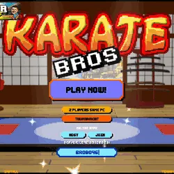 Karate Bros
